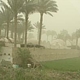 Две тысячи российских туристов застряли в Египте из-за сильнейшей песчаной бури