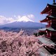 Япония предполагает облегчить визовый режим для российских туристов