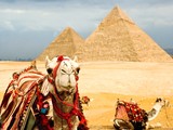 Когда откроют Египет? Прогнозы экспертов