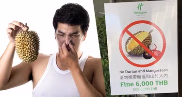 Отправляемся за фруктами в Нячанге: Дуриан – король фруктов или ароматный кошмар? Отправляемся за фруктами в Нячанге: Дуриан – король фруктов или ароматный кошмар?
