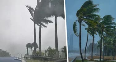 Нячанг перед Калмаэги: пляжи и бассейны закрывают, а российским туристам предложен переезд Нячанг перед Калмаэги: пляжи и бассейны закрывают, а российским туристам предложен переезд