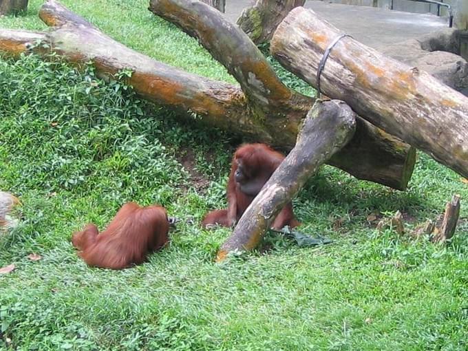 Сингапур -  Singapore, Sentosa