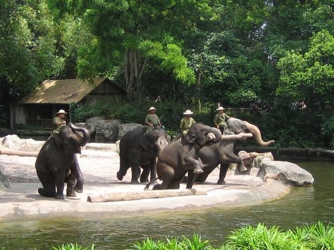 Сингапур -  Singapore, Sentosa