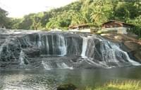 National park «Ulu Temburong»