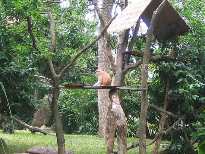 Сингапур -  Singapore, Sentosa