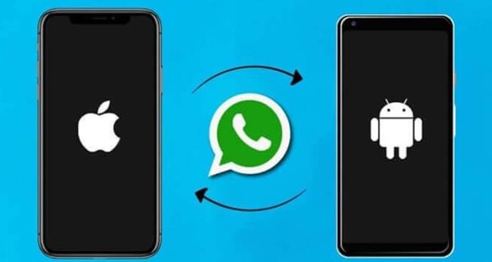 Как перенести резервную копию чата WhatsApp* с Android на iPhone