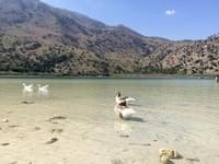 Греция - Озеро Курнас (Kournas Lake) Крит.