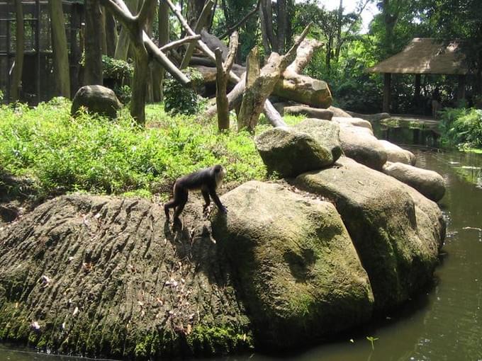 Сингапур -  Singapore, Sentosa