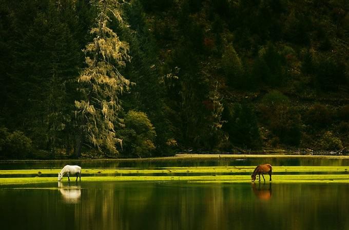 Китай - Красивые Сычуань.
Мой родной город .
http://www.tourismpanda.com/