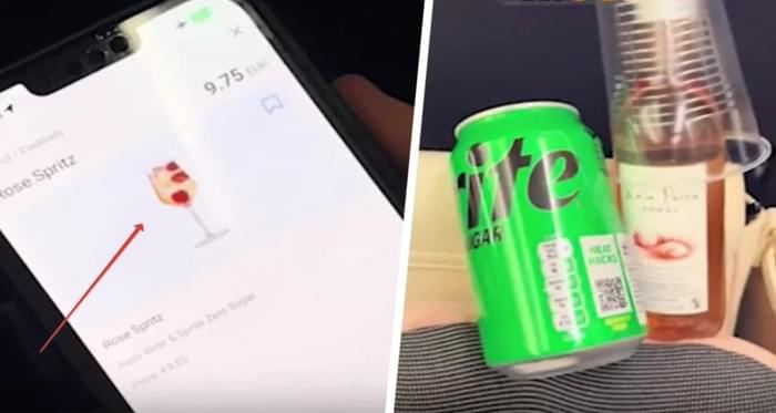 Туристка заказывает напитки в самолёте и удивляется тому, что на самом деле оказывается в ее заказе: сплошное надувательство