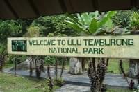 National park «Ulu Temburong»