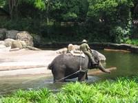 Сингапур -  Singapore, Sentosa