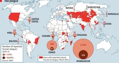 Российские туристы застряли из-за бубонной чумы в Монголии