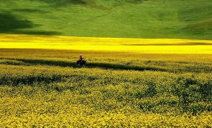 Китай - Красивые Сычуань.
Мой родной город .
http://www.tourismpanda.com/