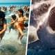 Туристы выбегали на берег с криками "акула": на популярном средиземноморском курорте морской хищник переполошил пляж