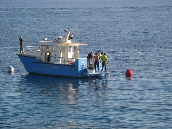 В Шарм Эль Шейхе акула убила немецкую туристку