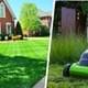 Шесть простых шагов, как сохранить ваш газон невероятно зеленым