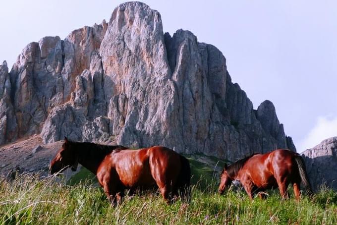 Лагонаки конные прогулки