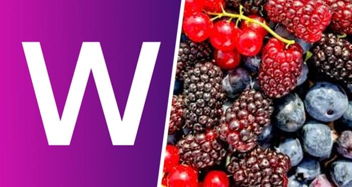 Основательница Wildberries Бакальчук выразила сожаление, что личные проблемы оказались на виду у всех