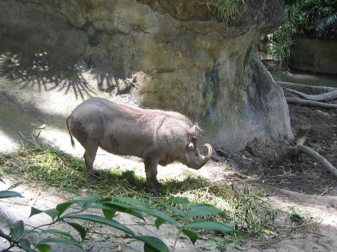 Сингапур -  Singapore, Sentosa