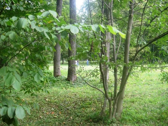 Россия - Богородицкий дворец и парк .Часть 1. Парк имени А.Т. Болотова.