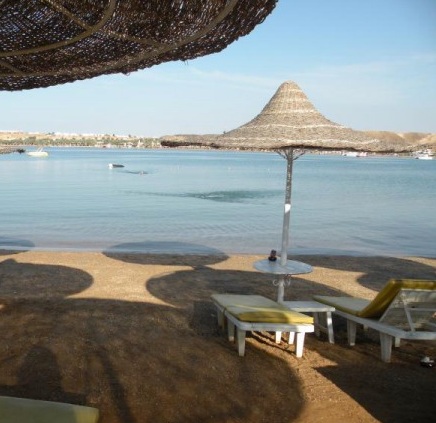 Dive inn resort 4 египет шарм эль шейх