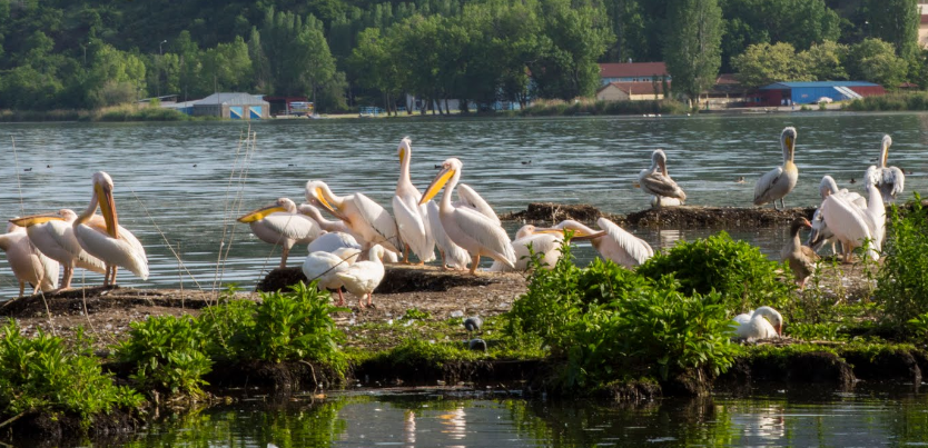 Кастория греция фото