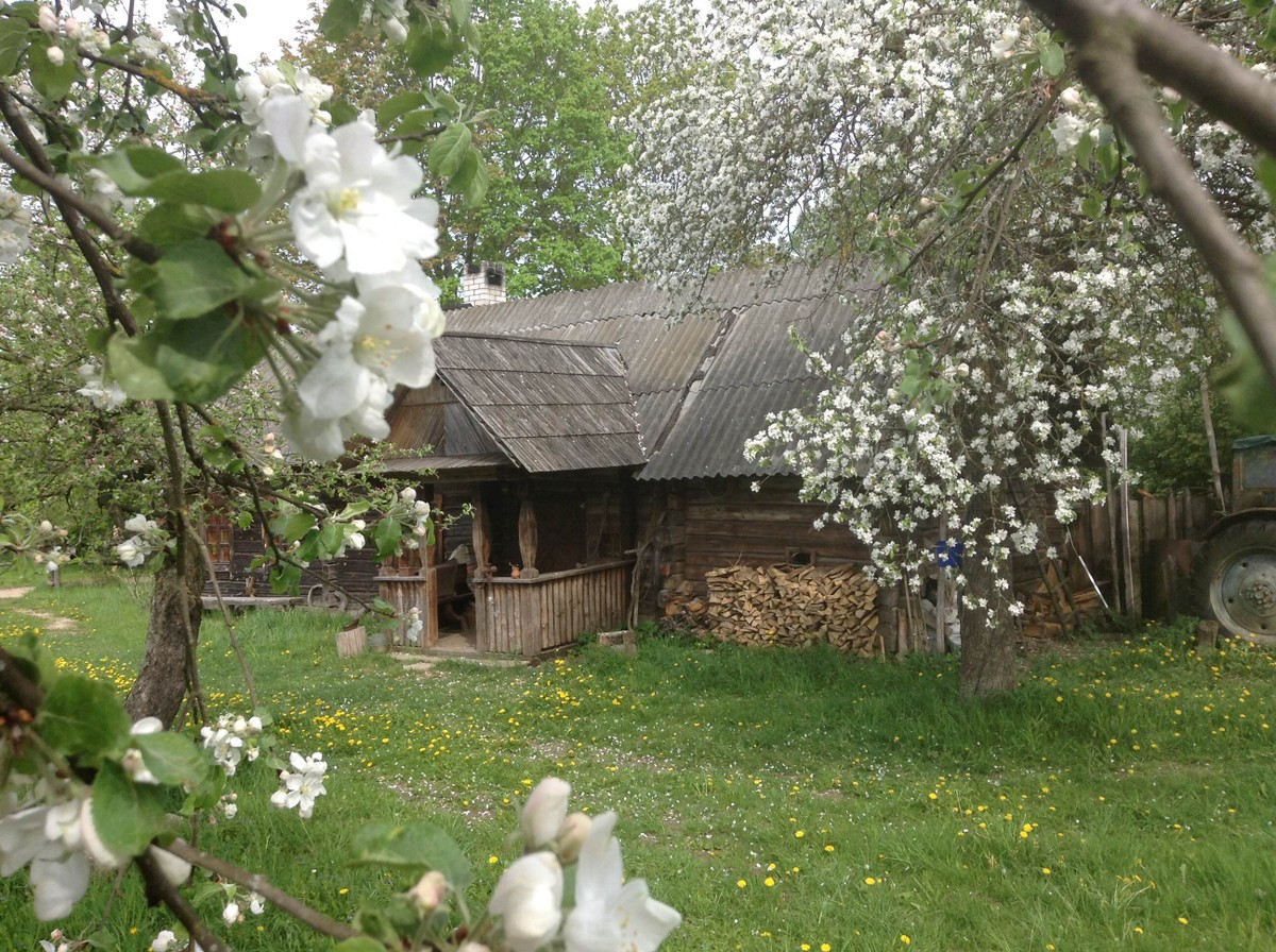 Деревни белоруссии фото