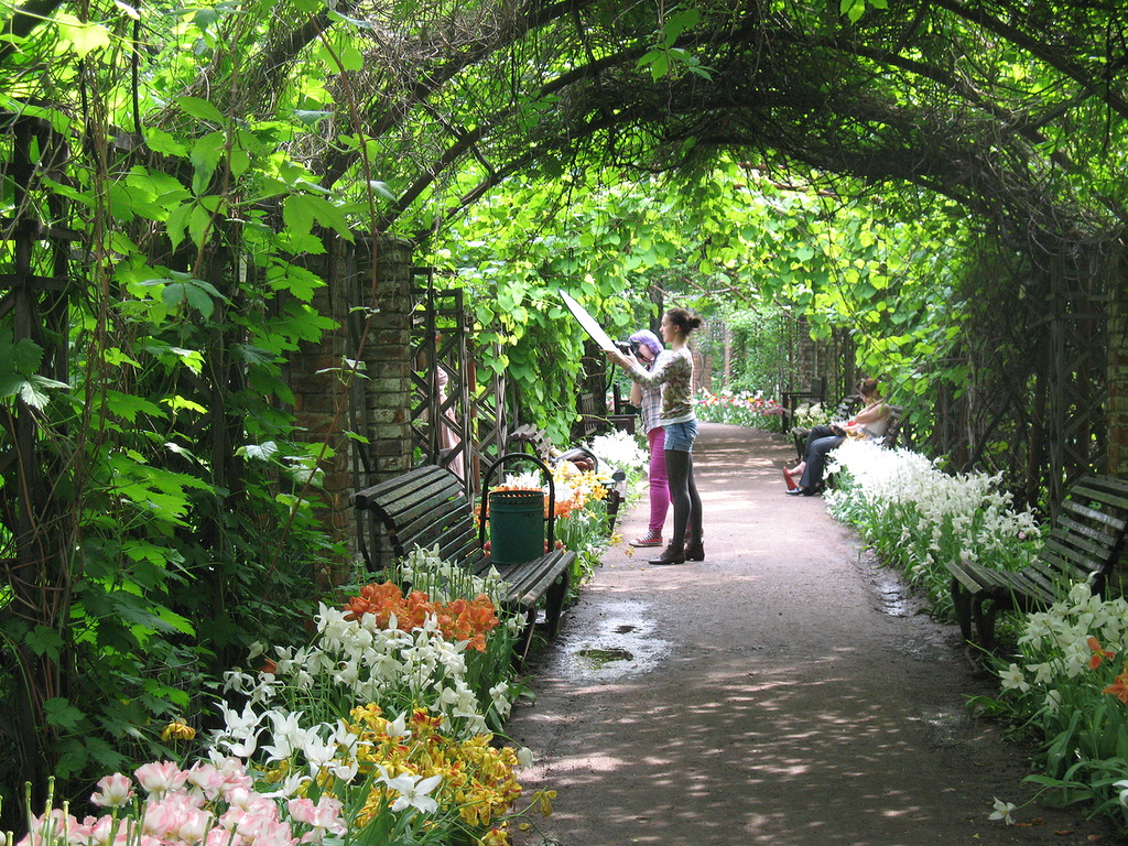 Зеленый сад фото