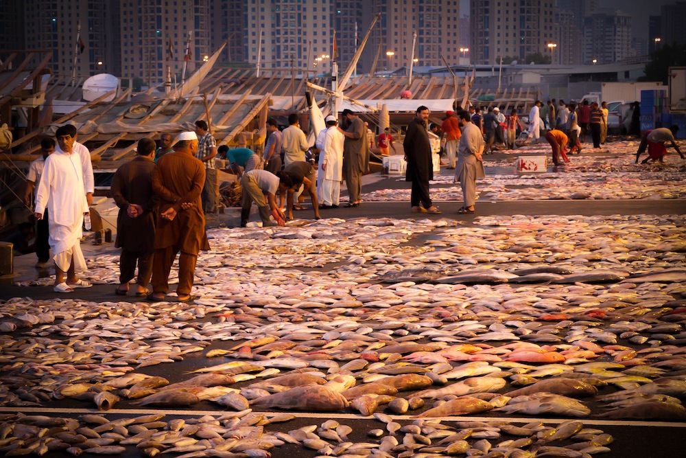 Fish dubai. Аджман ОАЭ рыбный рынок. Рыбный рынок в Аджмане. Рынок в Дубае Аджман. Рыбный рынок в Дубае.