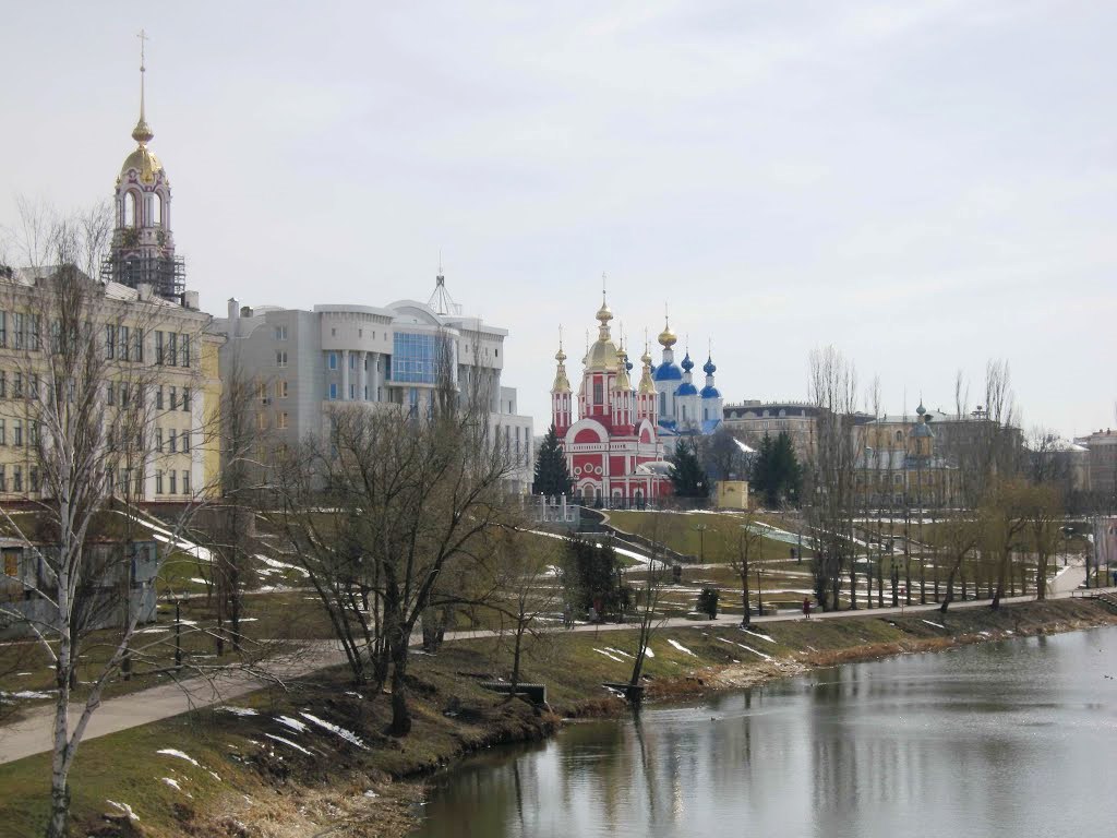 Улица набережная тамбов. Тамбов река Цна набережная. Набережная весной Тамбов.