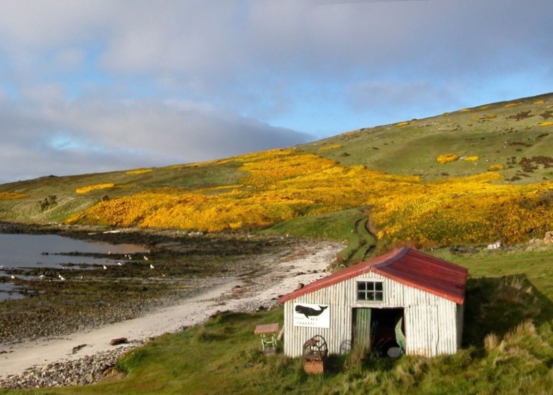 фолклендские острова