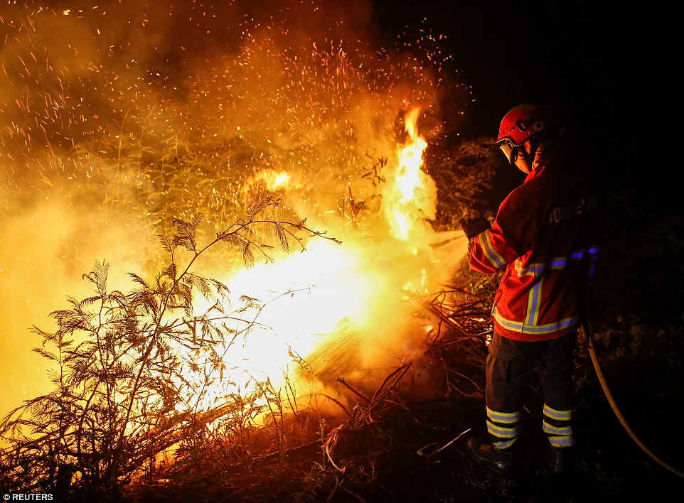 Туроператоры: лесные пожары в Португалии российских туристов не испугали, отказов нет