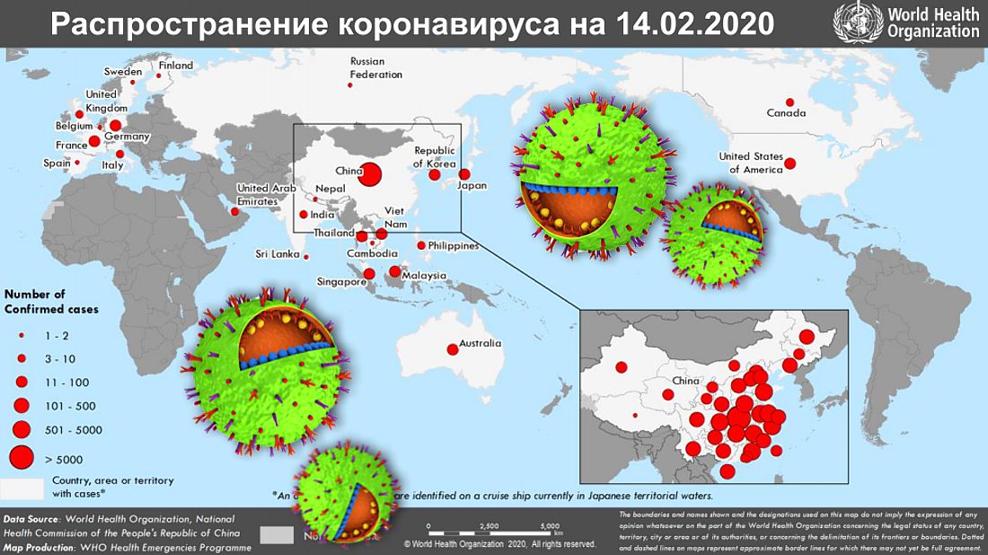 Восприимчивость населения земли к новому коронавирус sars cov 2 выберите один правильный ответ