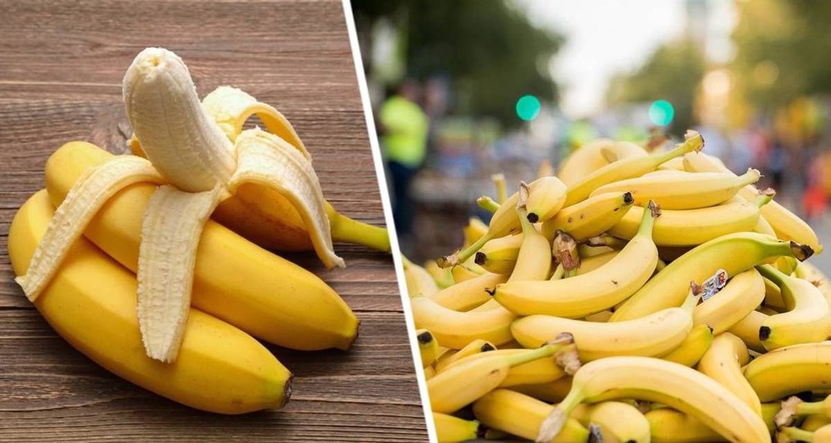 Диетолог рассказал, что будет с организмом, если съедать 1 банан в день
