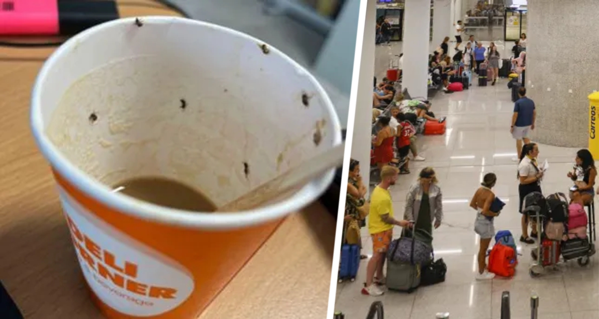 Опухло лицо и начался анафилактический шок: женщина выпила в аэропорту из автомата кофе и попала в реанимацию