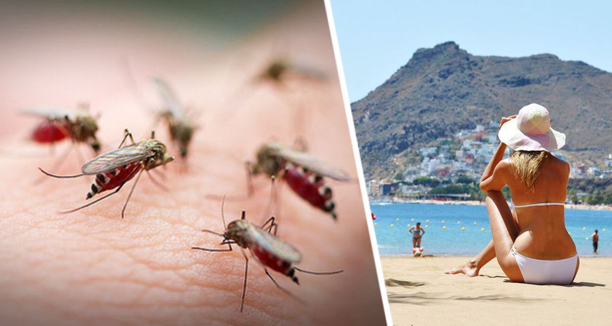 Страшная болезнь продолжает косить туристов в трех популярных у россиян странах: туристка отправилась в отпуск и по возвращении чуть не умерла из-за укуса комара