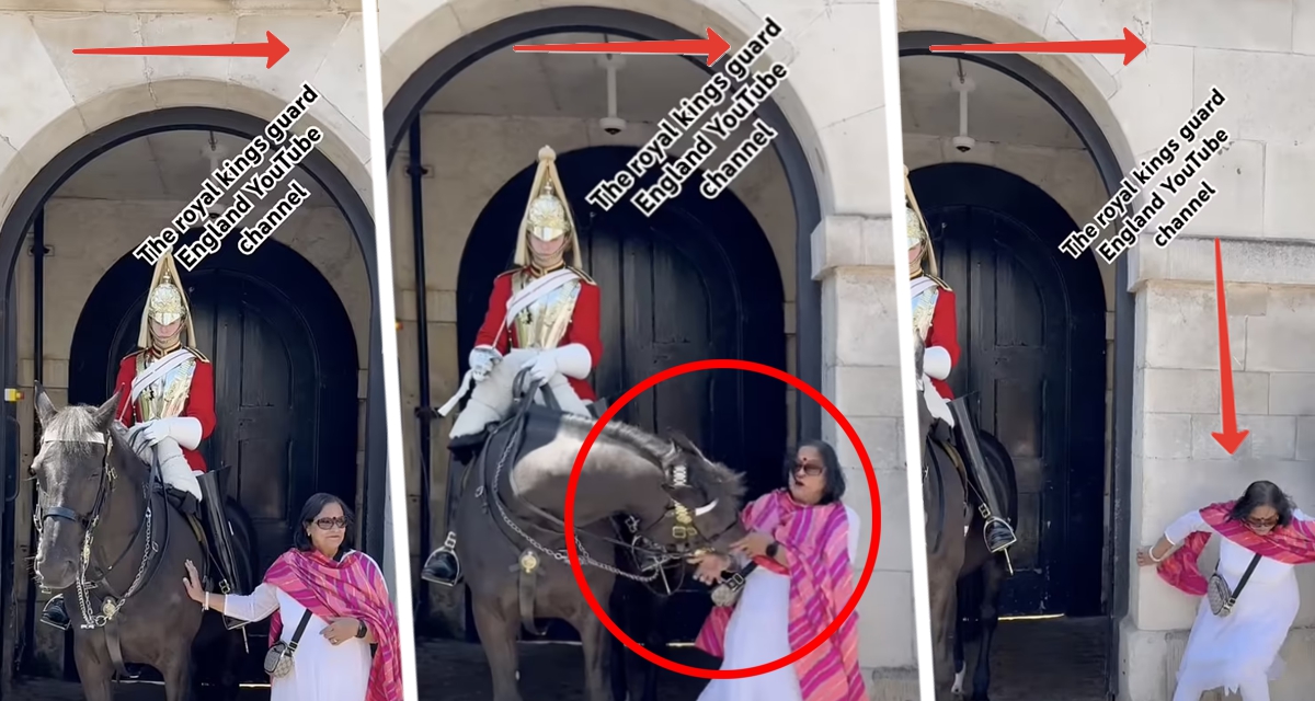 Лошадь королевской гвардии укусила туристку: шокирующий момент попал в объектив