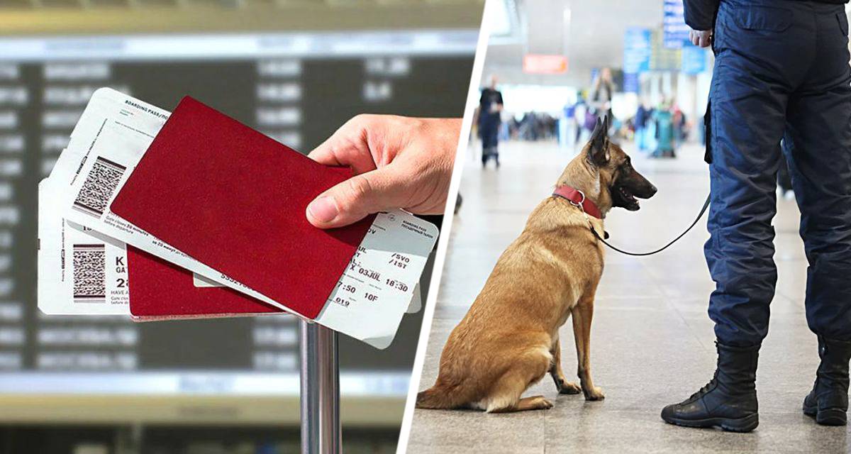 Туристов в аэропортах планируют атаковать: названа новая напасть, которая может подкосить летний отдых