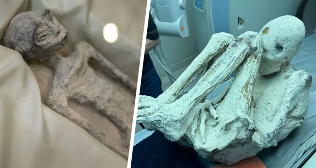Беременные мумии инопланетян, найденные в Перу, будут проверены для доказательства подлинности