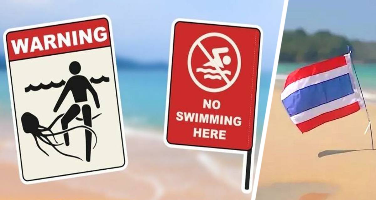 Туристам на Пхукете посоветовали иметь под рукой уксус при купании из-за новой опасности