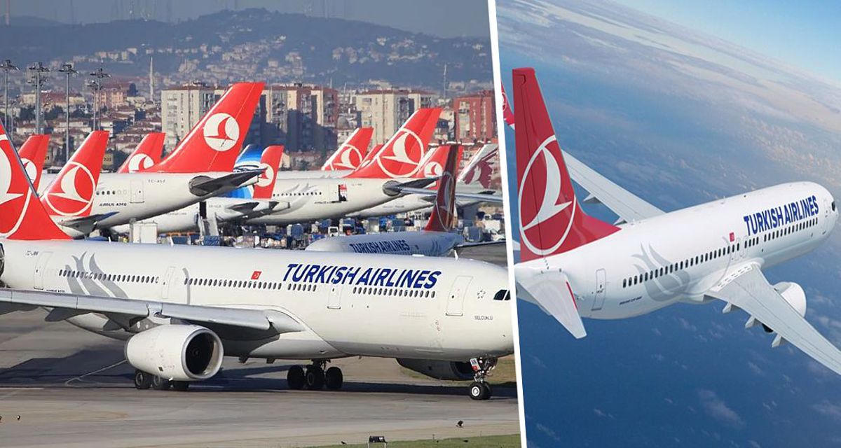 Авиакомпания, перевозящая сотни тысяч россиян в Турцию, признана лучшей в мире, особенно по питанию на борту