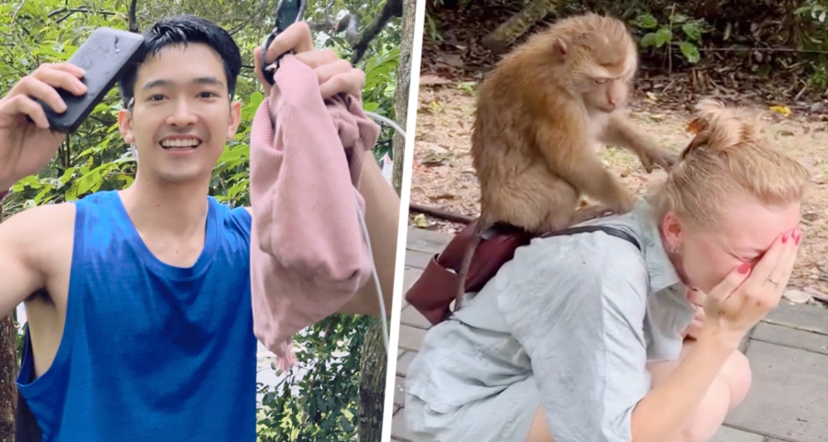 На российскую туристку во время прогулки по Пхукету набросилась обезьяна и отобрала у нее сумку: местные дали совет, как быстро вернуть украденные обезьянами вещи